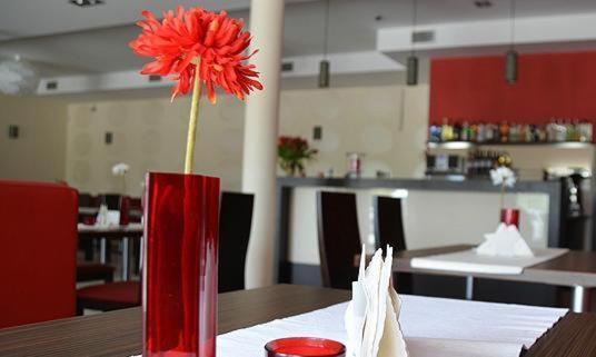Hotel Cynamon Tokarnia  Bagian luar foto